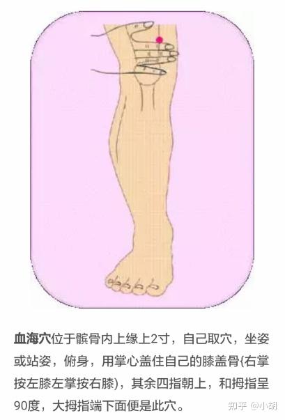 倪海厦针灸课笔记(11)足太阴脾经下 - 知乎