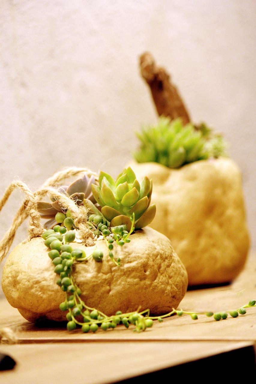 梅花盆栽如何造型