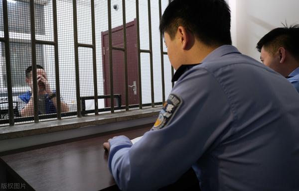 报警警察会解决吗-生活区域流浪狗过多要怎么办 (报警警察会解决问题吗)