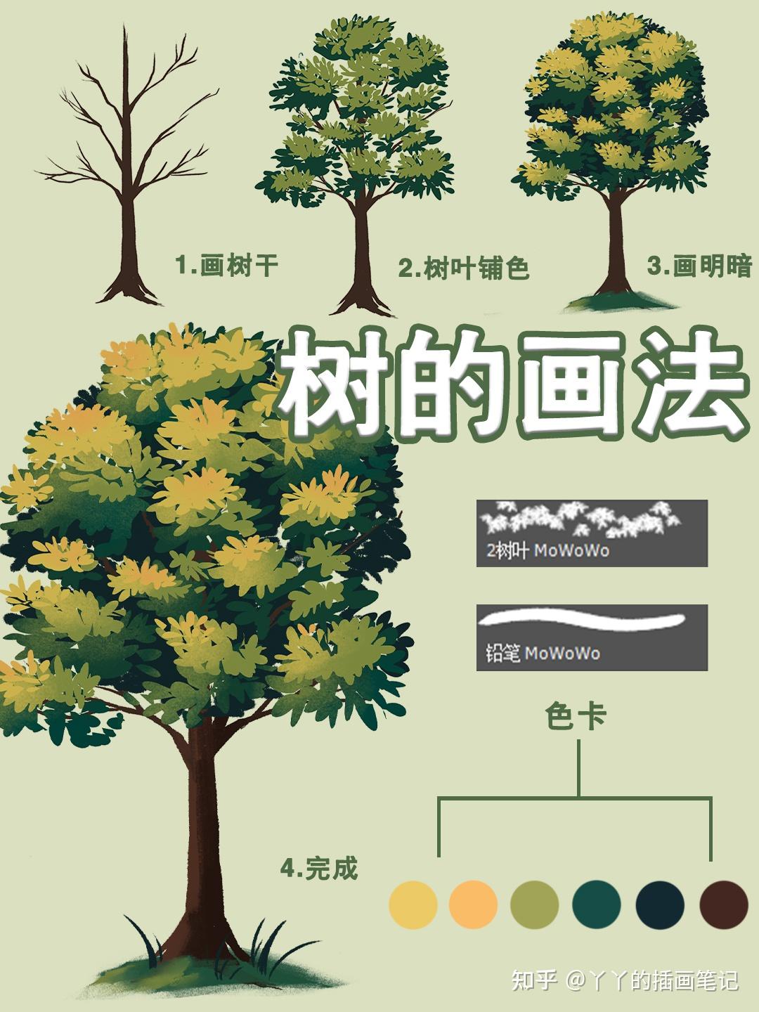 树的画法/植物插画教学 - 知乎