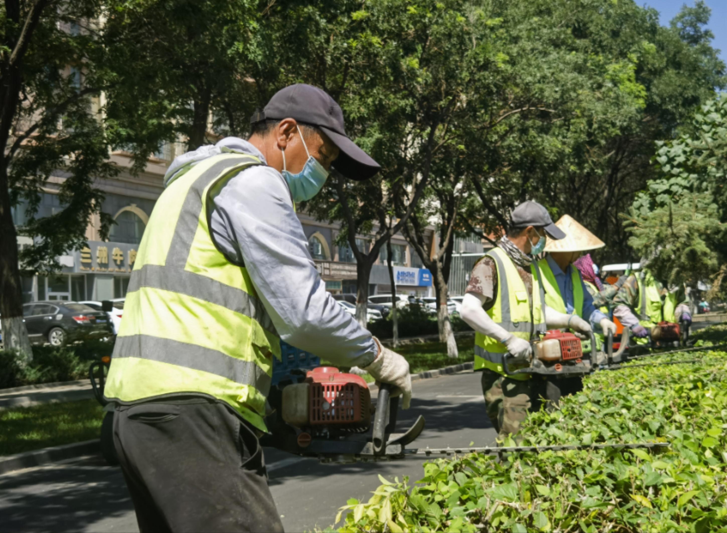 石嘴山市 绿化工人不惧高温 用汗水浇注城市绿荫