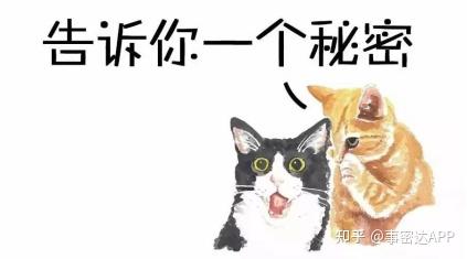 v2-c964f70eea5e17a9017d6148638dbb6c_r.jpg
