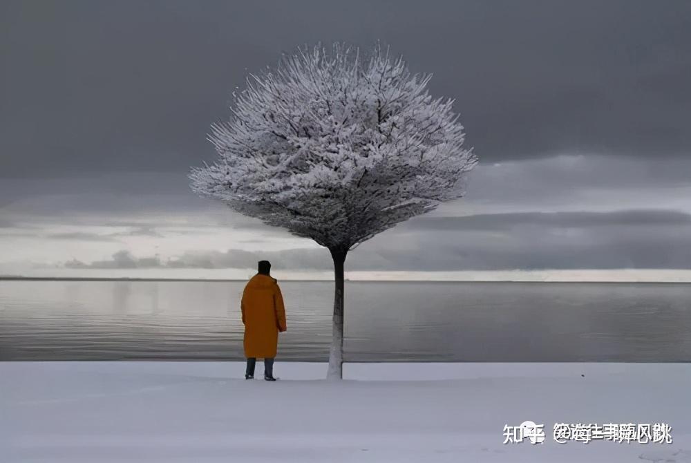 孤独,可以创造意想不到的美