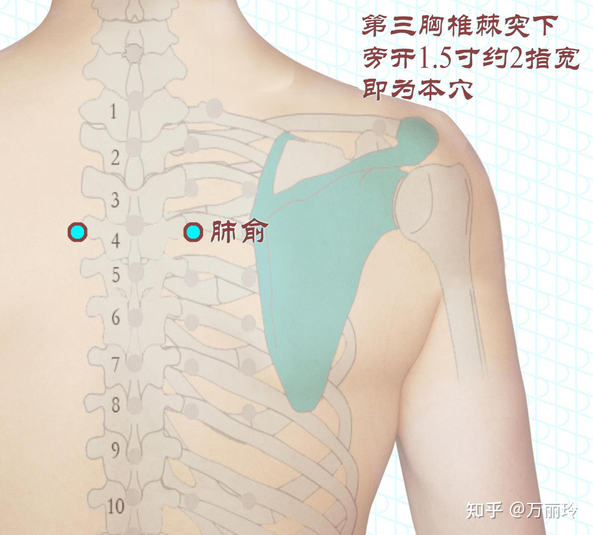 肺结节按摩部位图图片