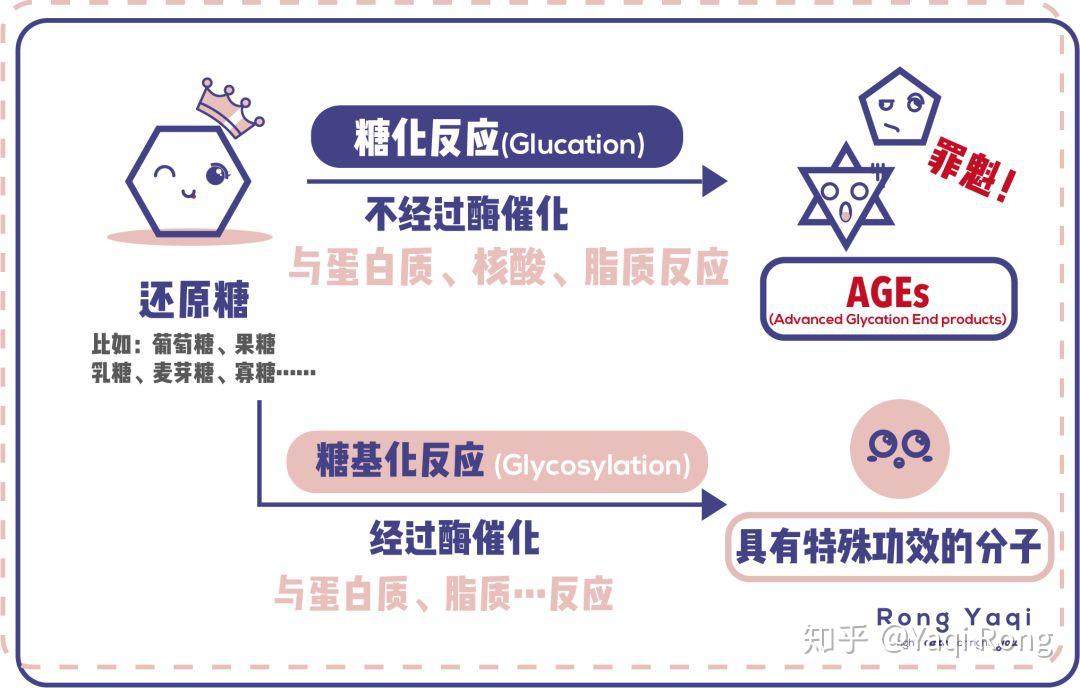 其实不用夸大糖化的作用,应该说它是正常的反应,像氧化反应一样,避免