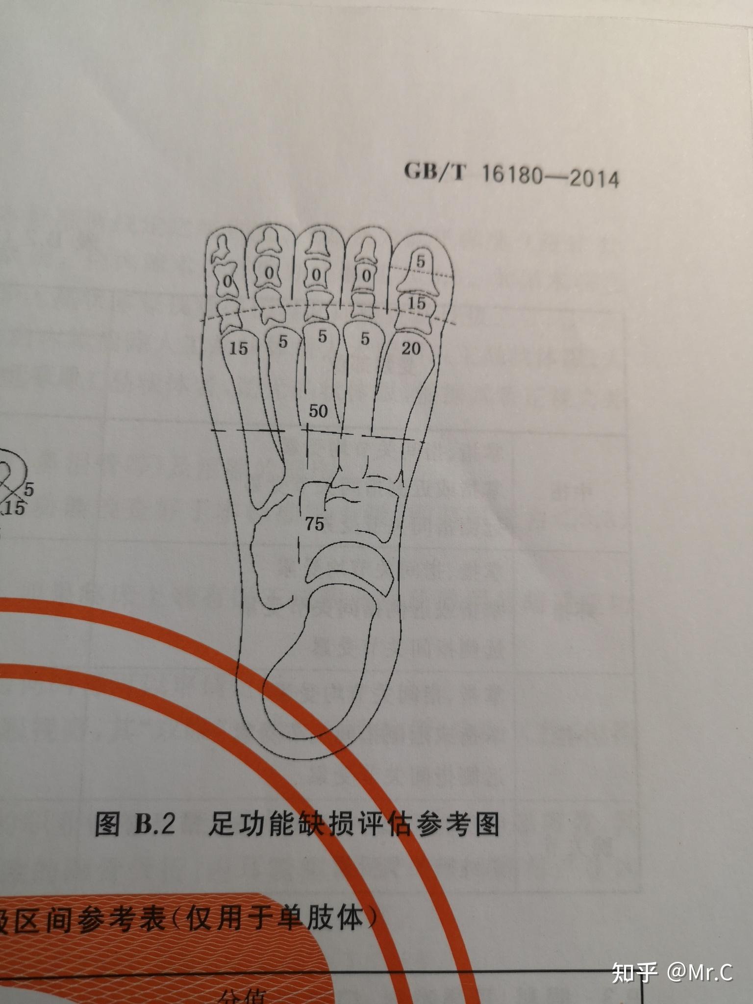 三根肋骨五根脚趾粉碎性骨折肺部有积液属于工伤几级