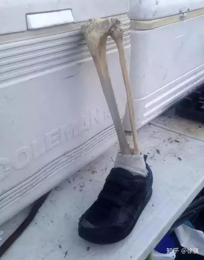 加拿大幽灵断脚案海滩莫名出现13只穿鞋的断脚残肢