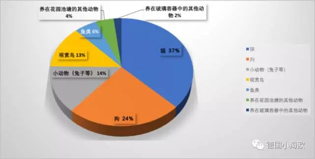 宠物gdp(2)