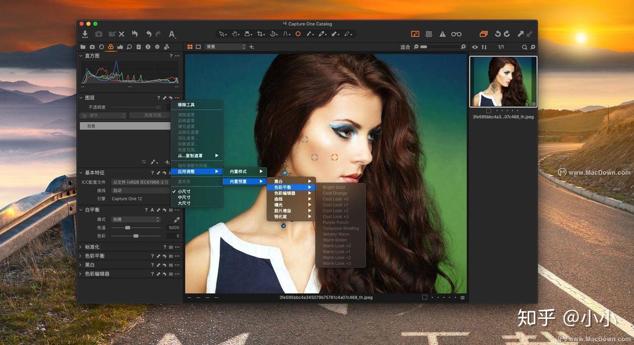 captureonepro20formacraw图像处理软件v1300184