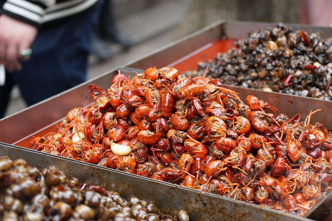 阳逻哪里的菜好吃