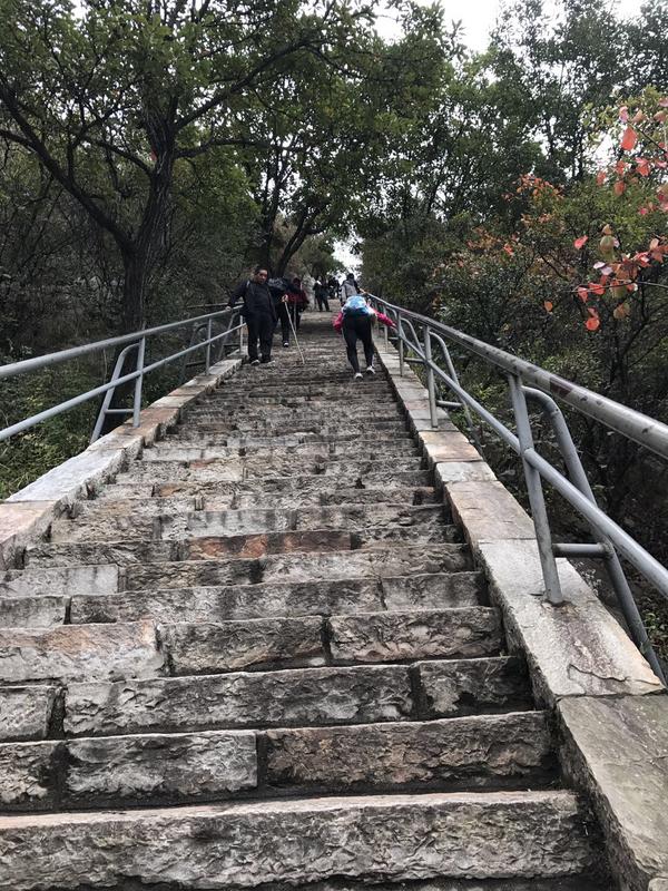 少室山: 好漢坡->南天門->三皇寨->吊橋->棧道->書冊崖->山頂->索道