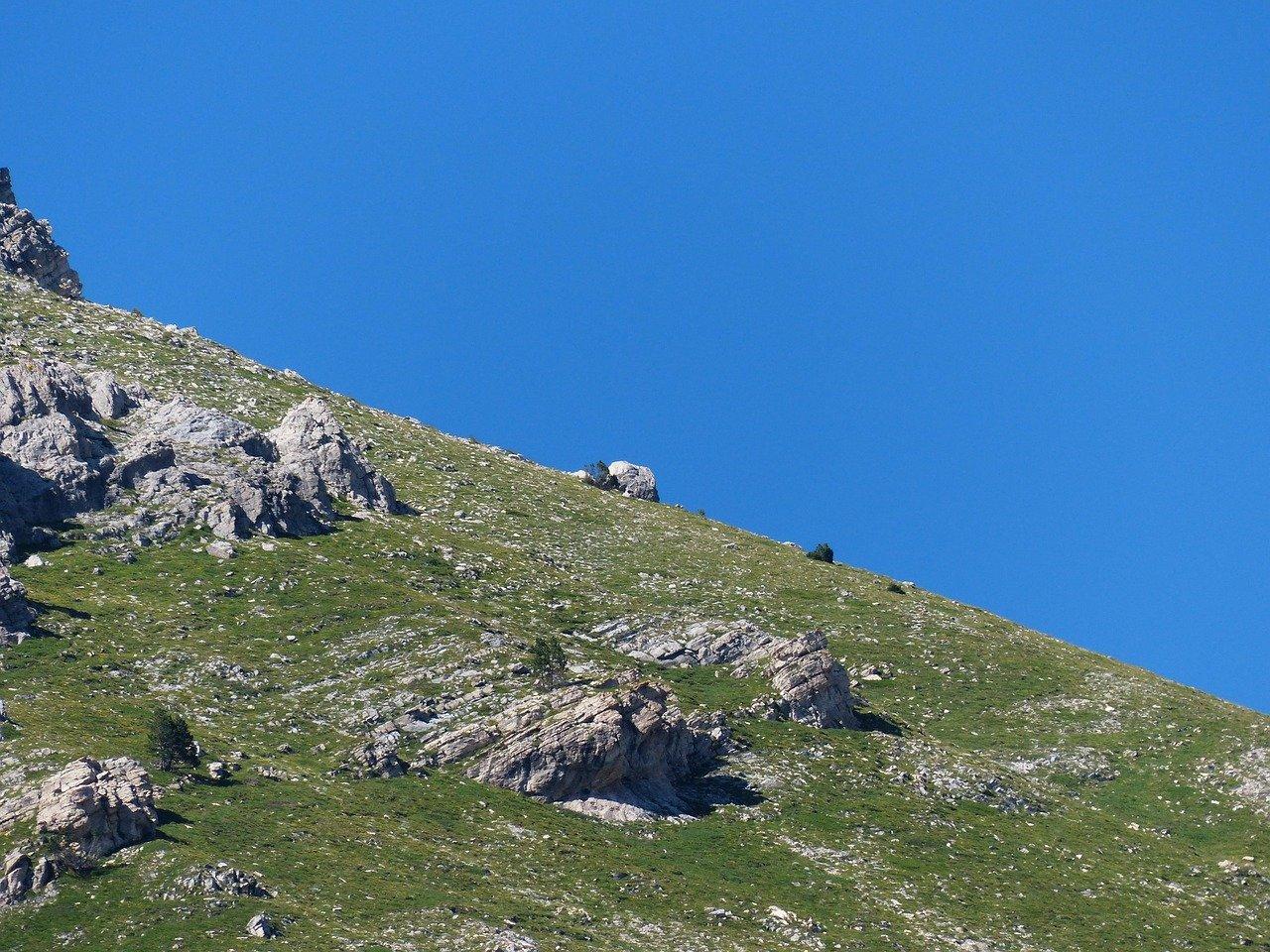 2. 护坡生态作用