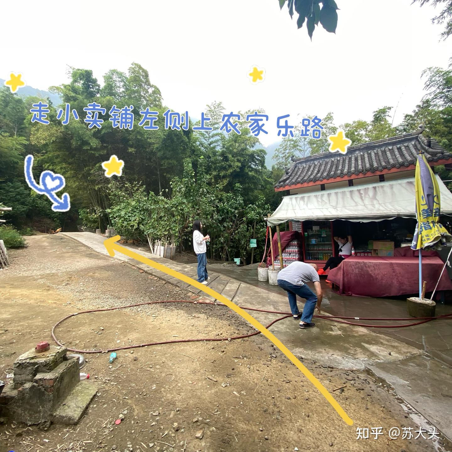 重庆徒步爬山圣地：缙云山免门票上山详细路线指引 - 知乎