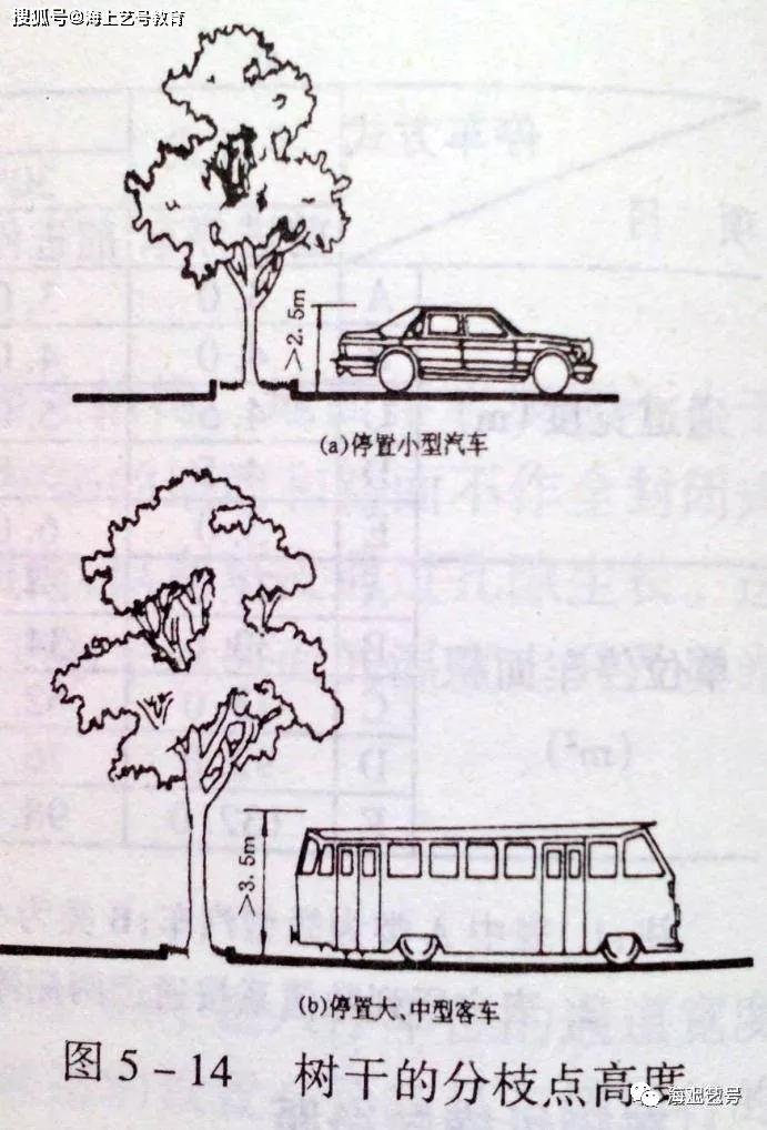 详解|城市道路绿地景观设计 - 知乎