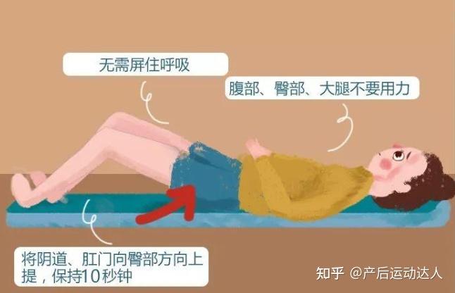 怎么做盆底肌 v2-c9b1931d7119063e20de8b8962ed0fe0_r.jpg