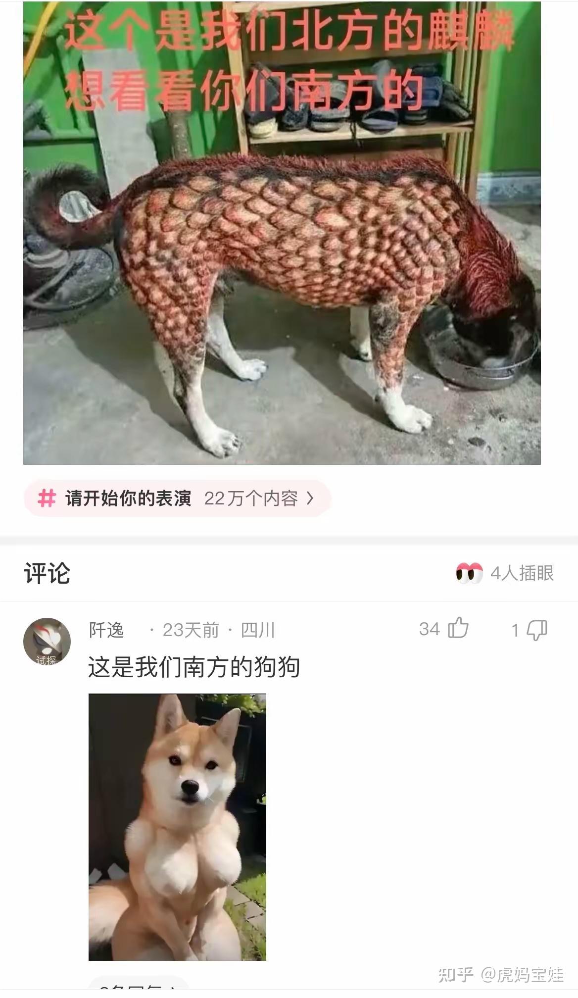 你有哪些能让人笑到肚子疼的搞笑图片?