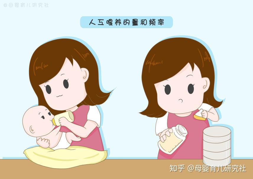 人工喂养的量和频率