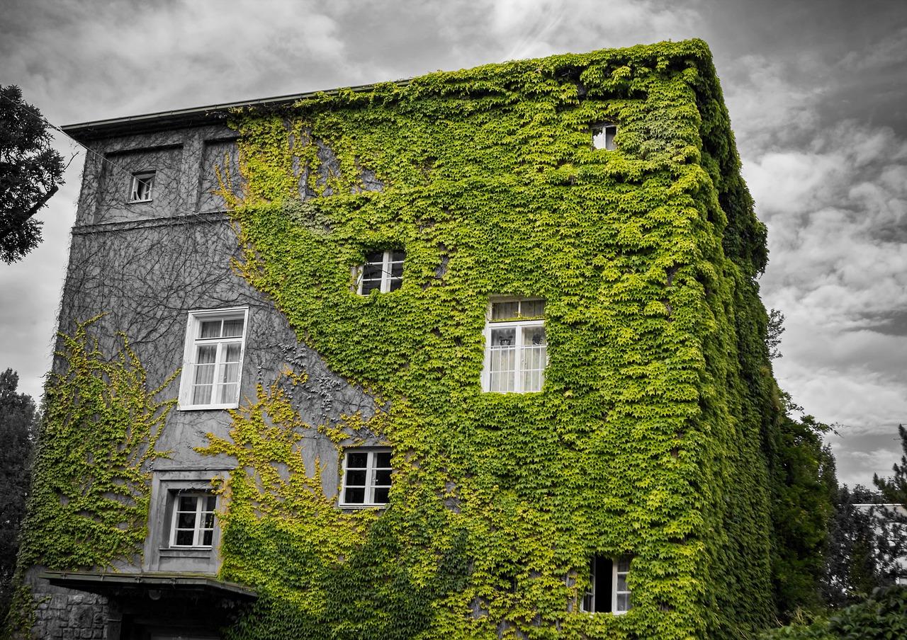 智能家居新体验