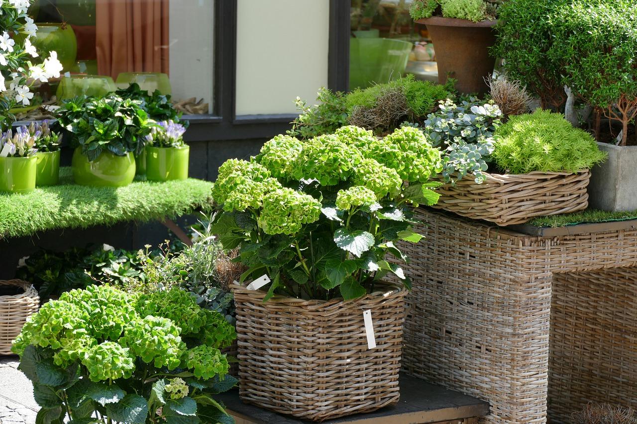 鲜花如何处理保存