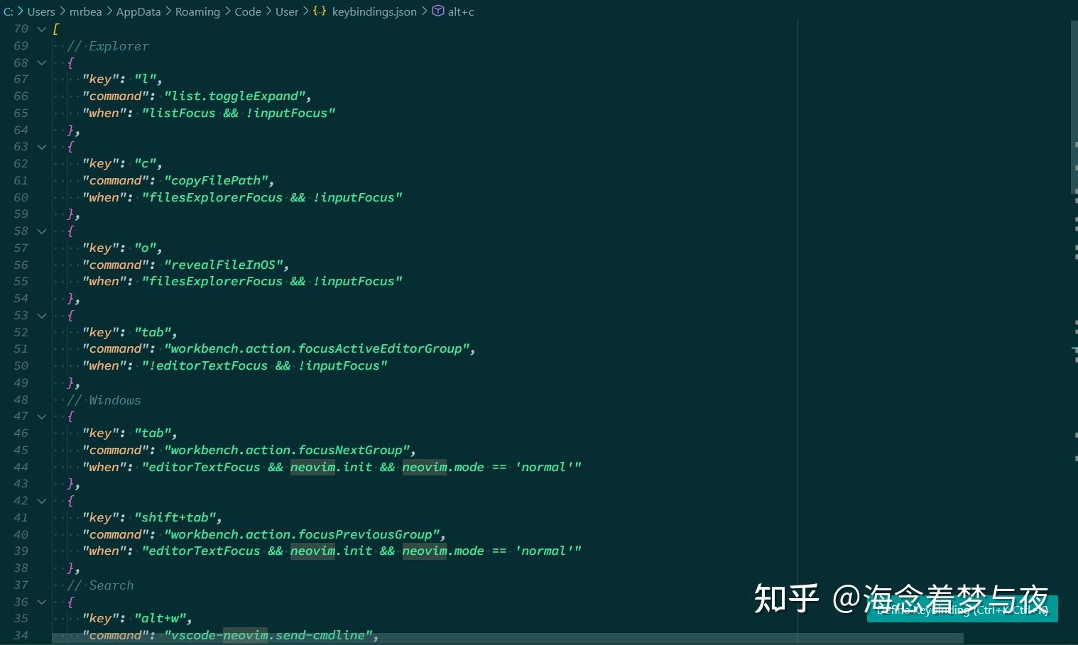 gui vscode neovim 