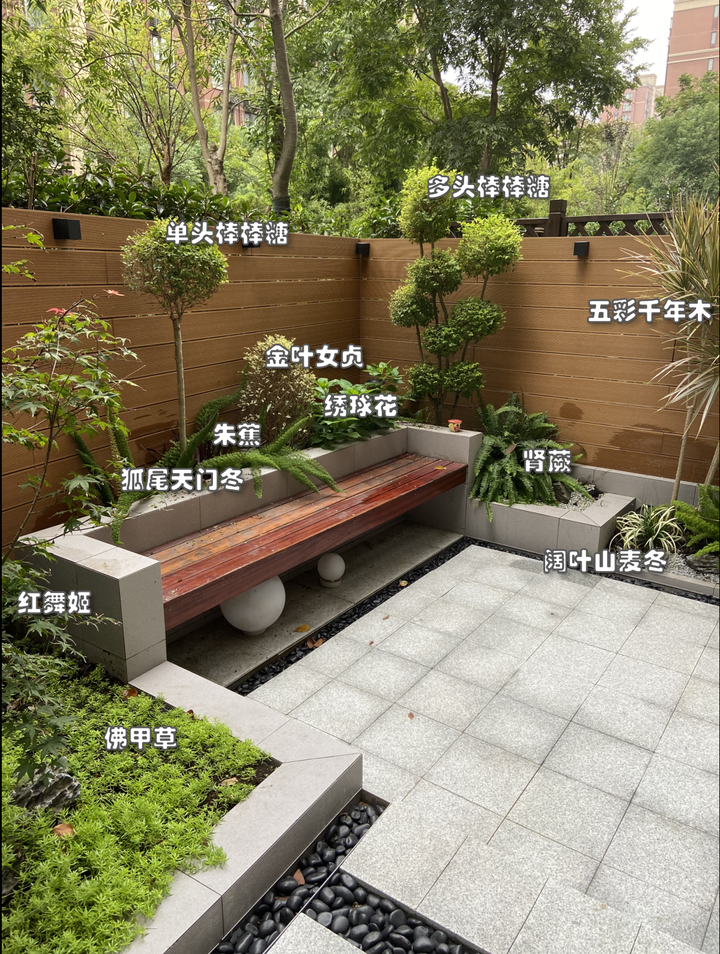 庭院植物搭配方法-89㎡自宅设计 - 知乎