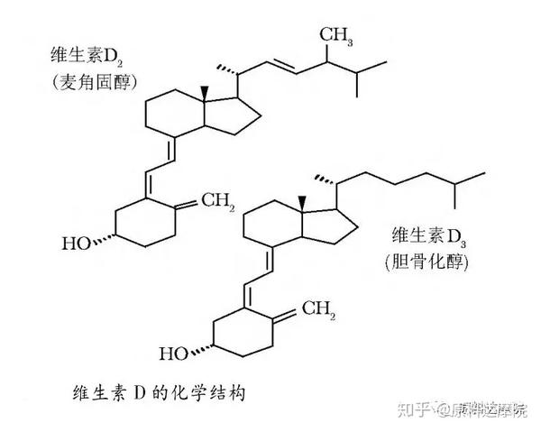 全历史