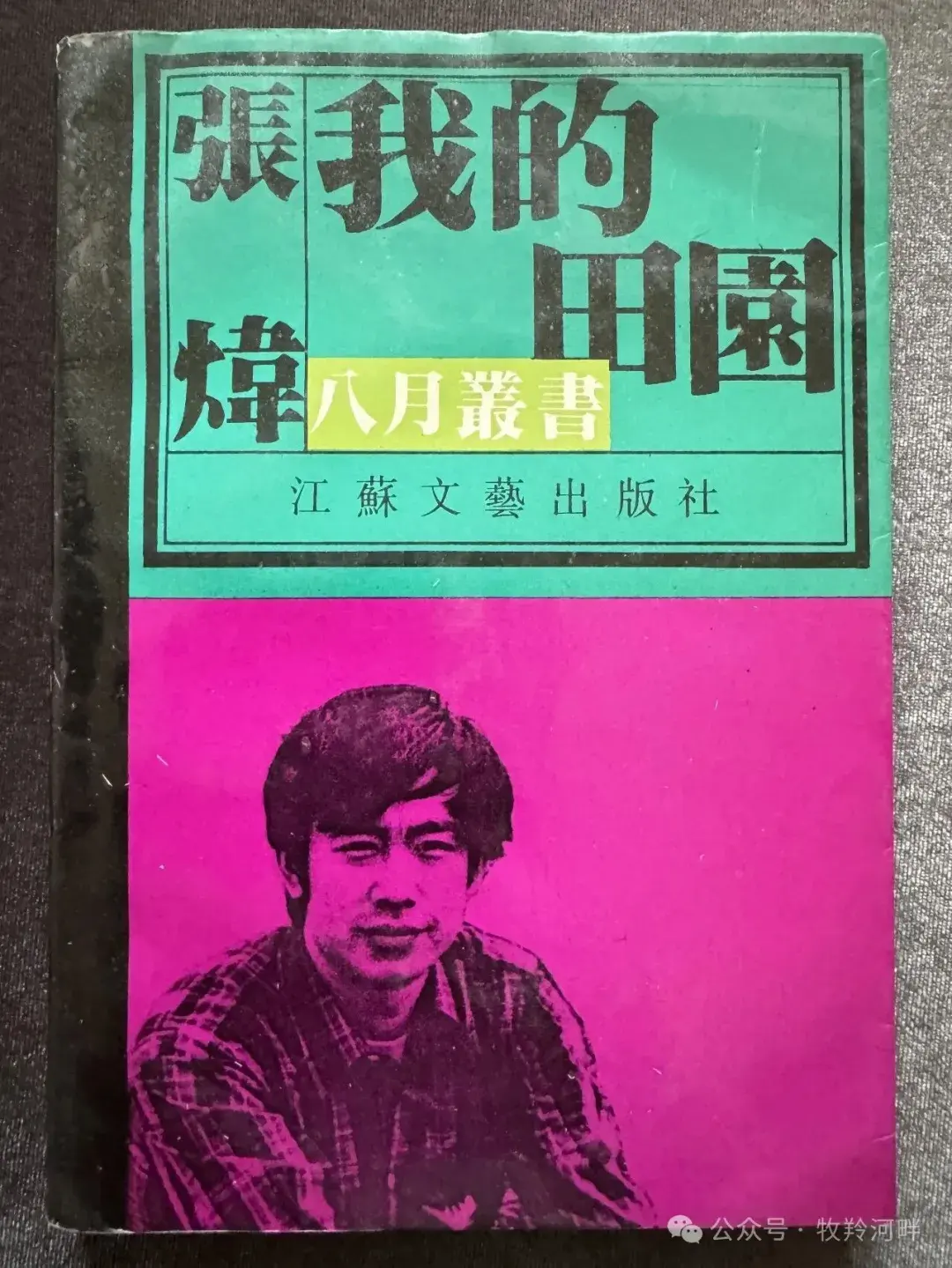 ��ʮ�������س�Ϯ�����ڸ�ԭ����Ū�ɳ�׾��͵�����ɣ�