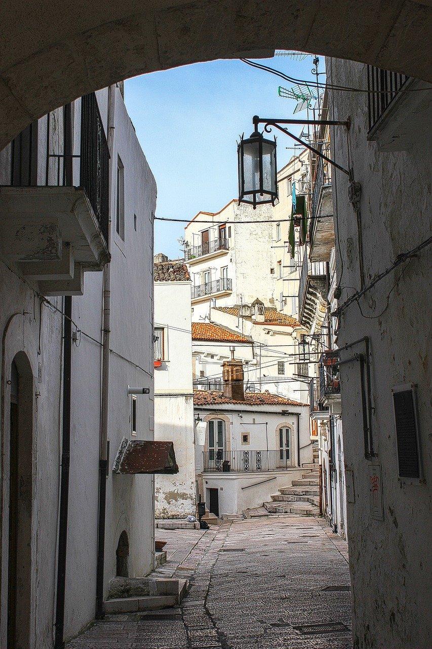 碉楼的历史沧桑