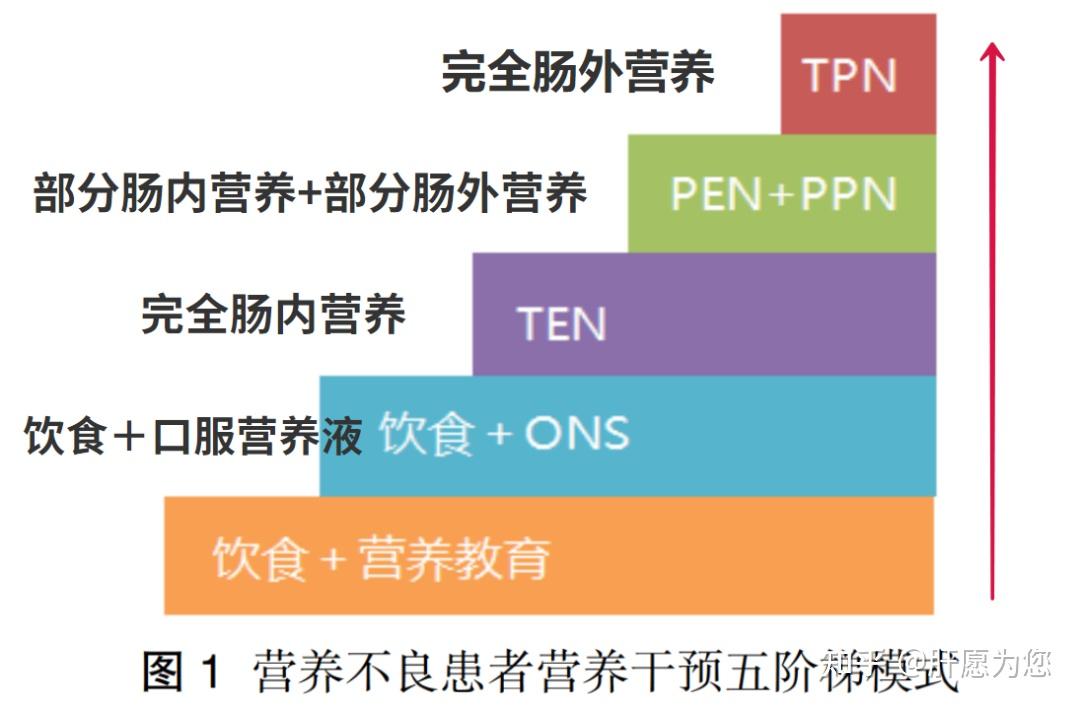 营养五阶梯图片