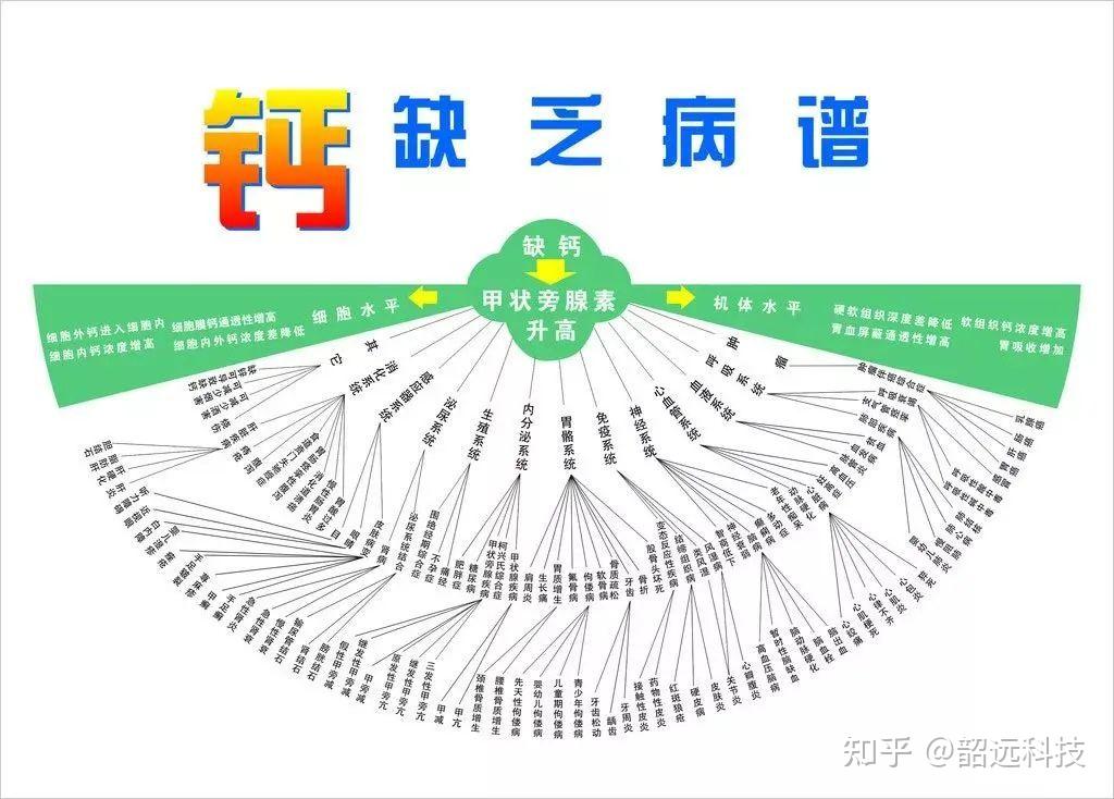 奇妙的化学元素 | 骨骼构成的元素--钙 - 知乎