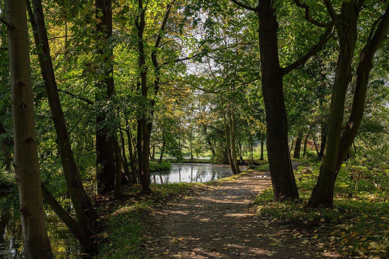 紫云公园童年梦