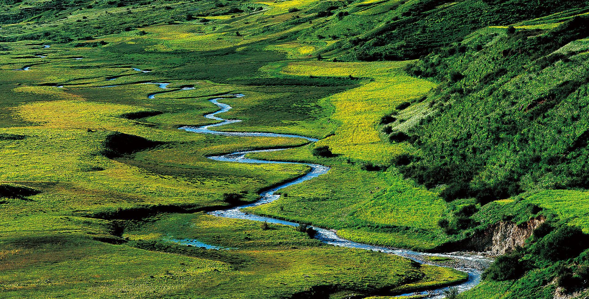 中国第一个国家公园三江源国家公园,有什么特别的动物和地理景色?