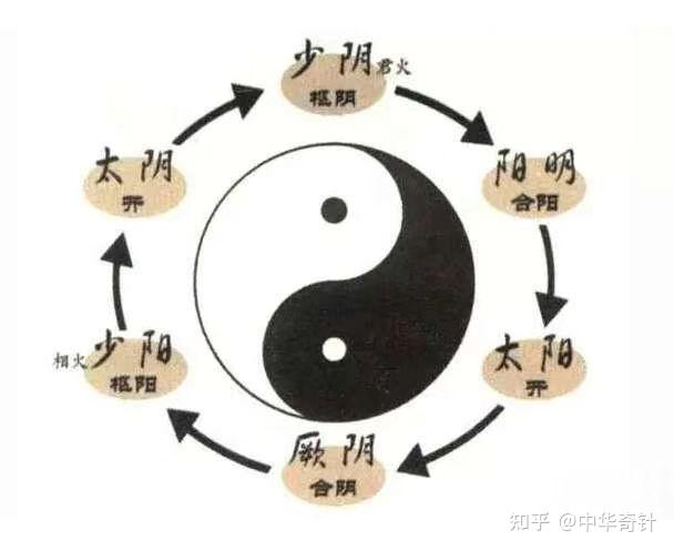 中医的理论模型之六经与九宫 - 知乎