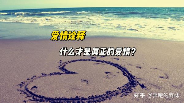 完整演员表