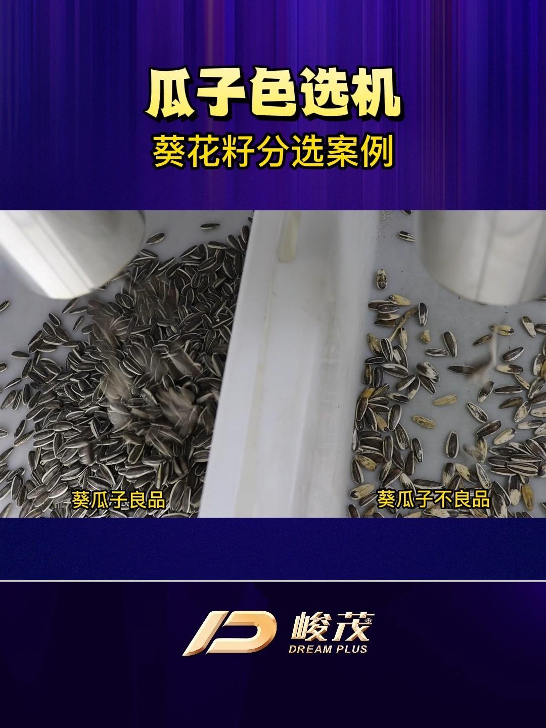 瓜子色选机 筛选分选去杂设备 葵花籽分选案例 - 知乎