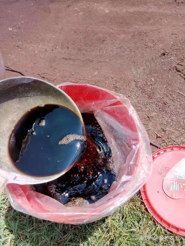 促生长 增产量 提品质 菌肥对果树的 好 现在知道还不晚 知乎