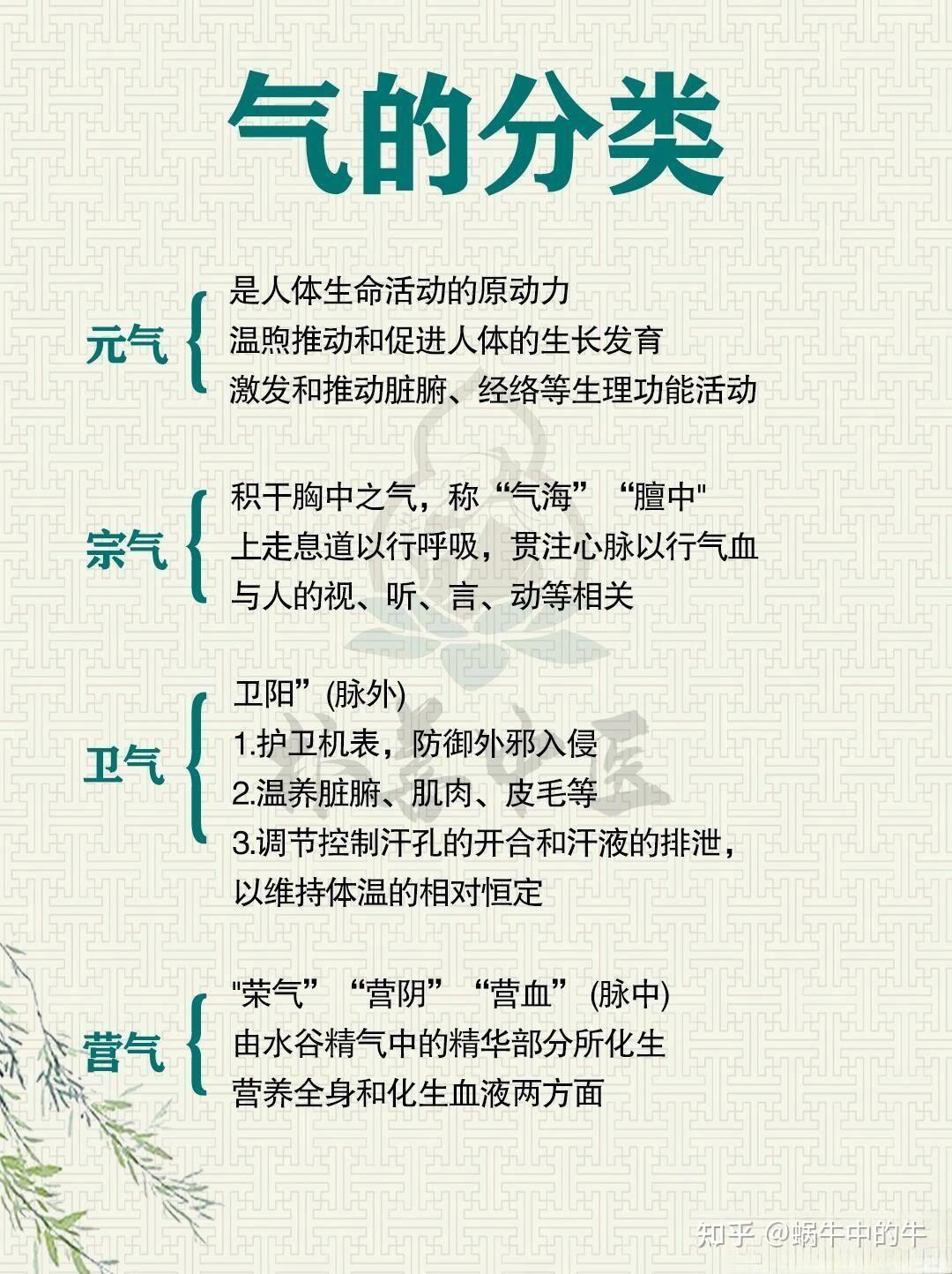 中医基础知识·气的分类 - 知乎
