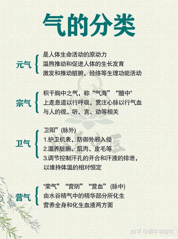 中医基础知识·气的分类 - 知乎