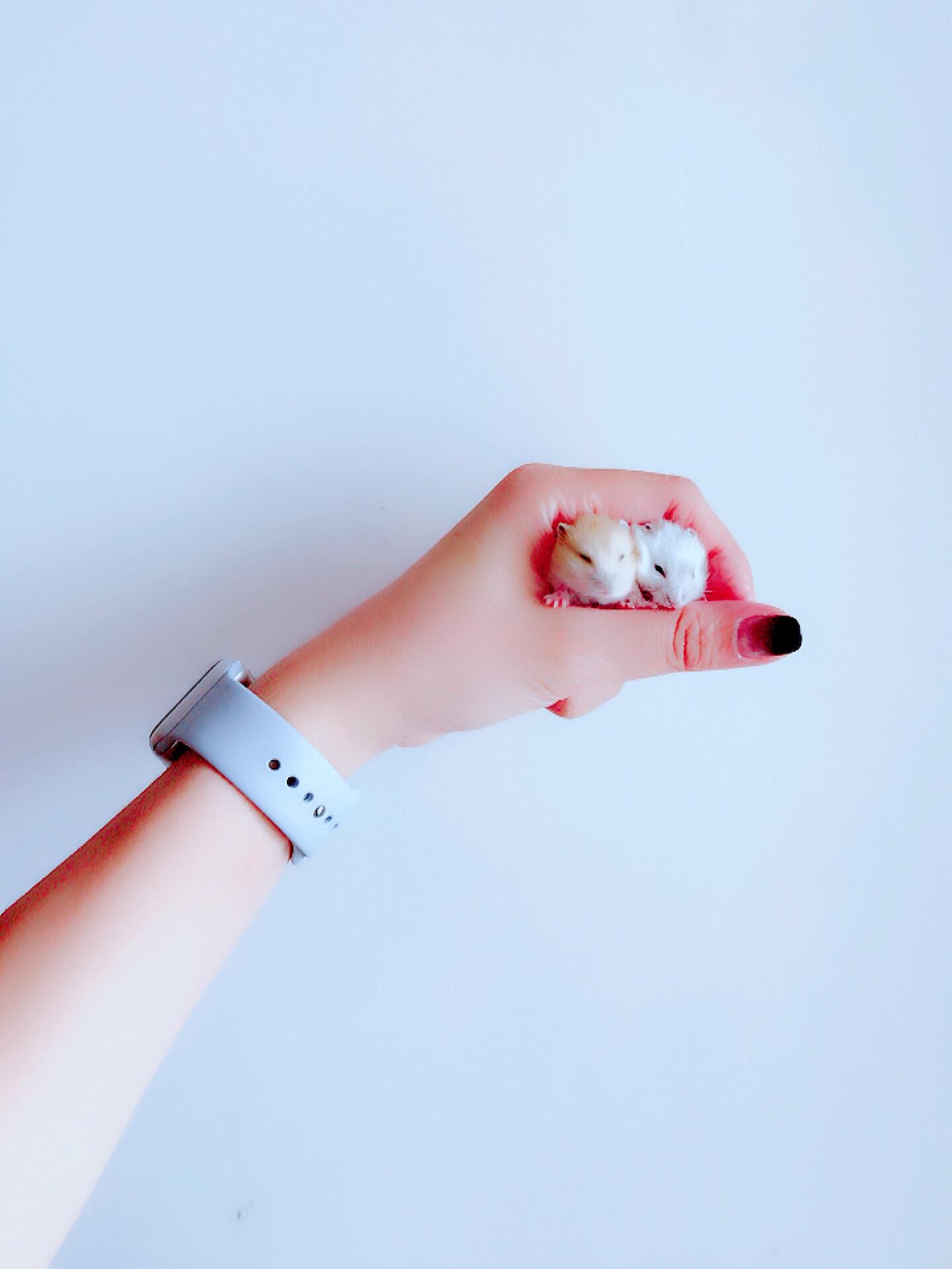 v2-ca36312f1aed47ea0f10ff3c5ffd55af_r.jpg