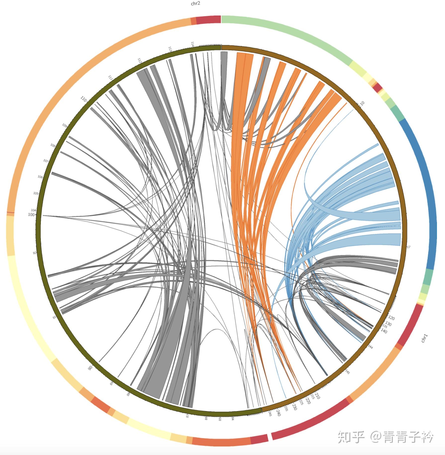 全局范围调整这部分教程的重点是调整ideogram的范围,包括全局和局部