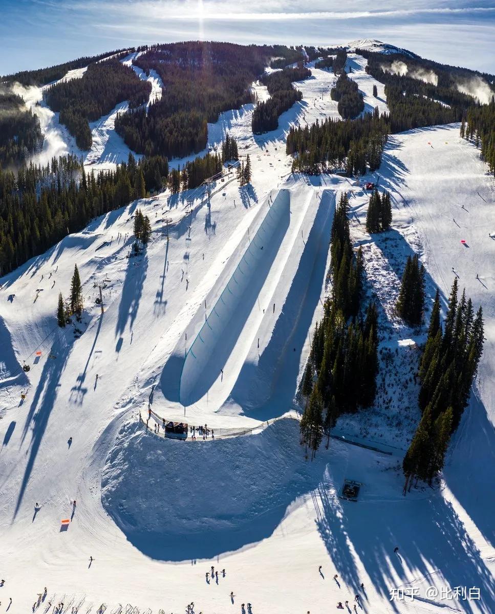 冬奥百科 ｜ 双板自由式滑雪 知乎