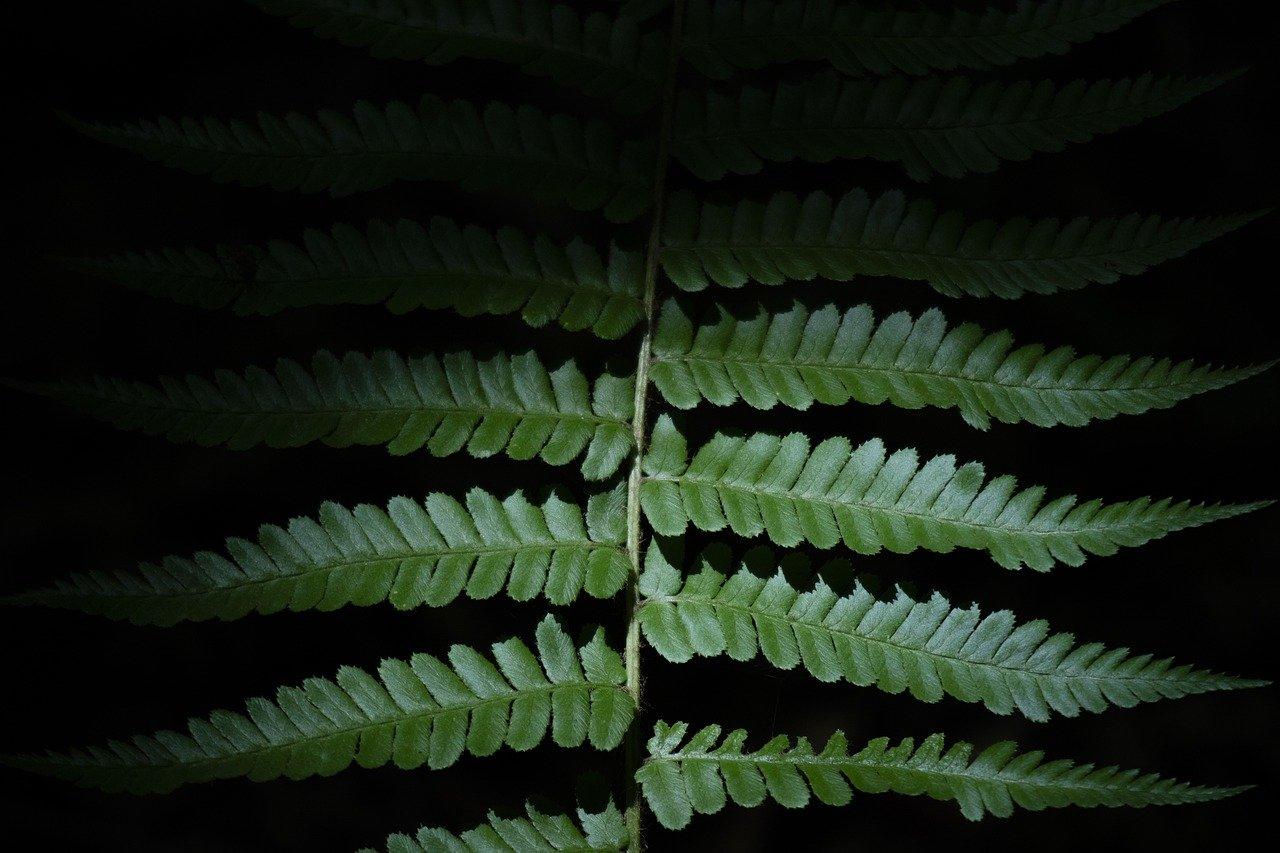 4. 提交补贴申请