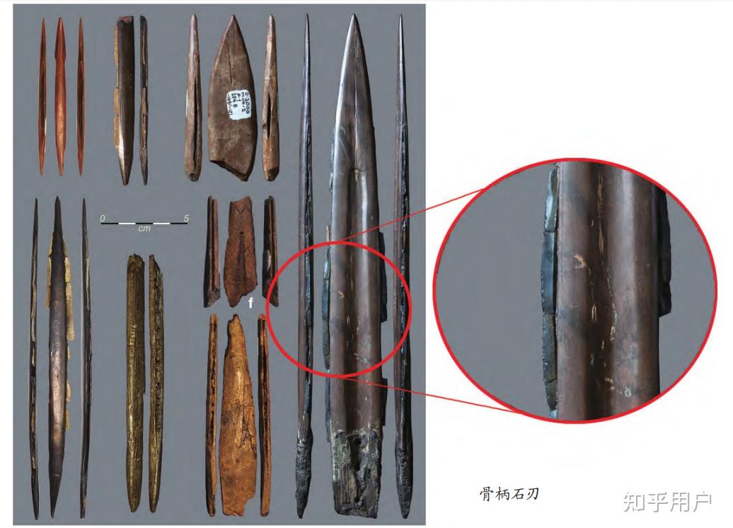 旧石器时代的石制品种类有哪些?(附图)? - 知乎