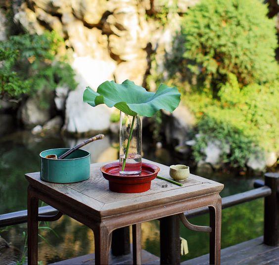 一方小院,一方天地,一份闲适 - 知乎
