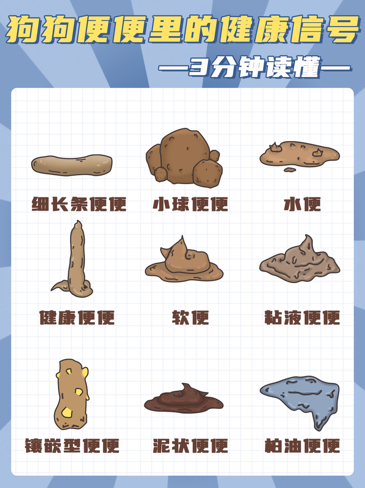 狗狗不同大便状态的健康问题自查狗狗拉稀软便大便干硬