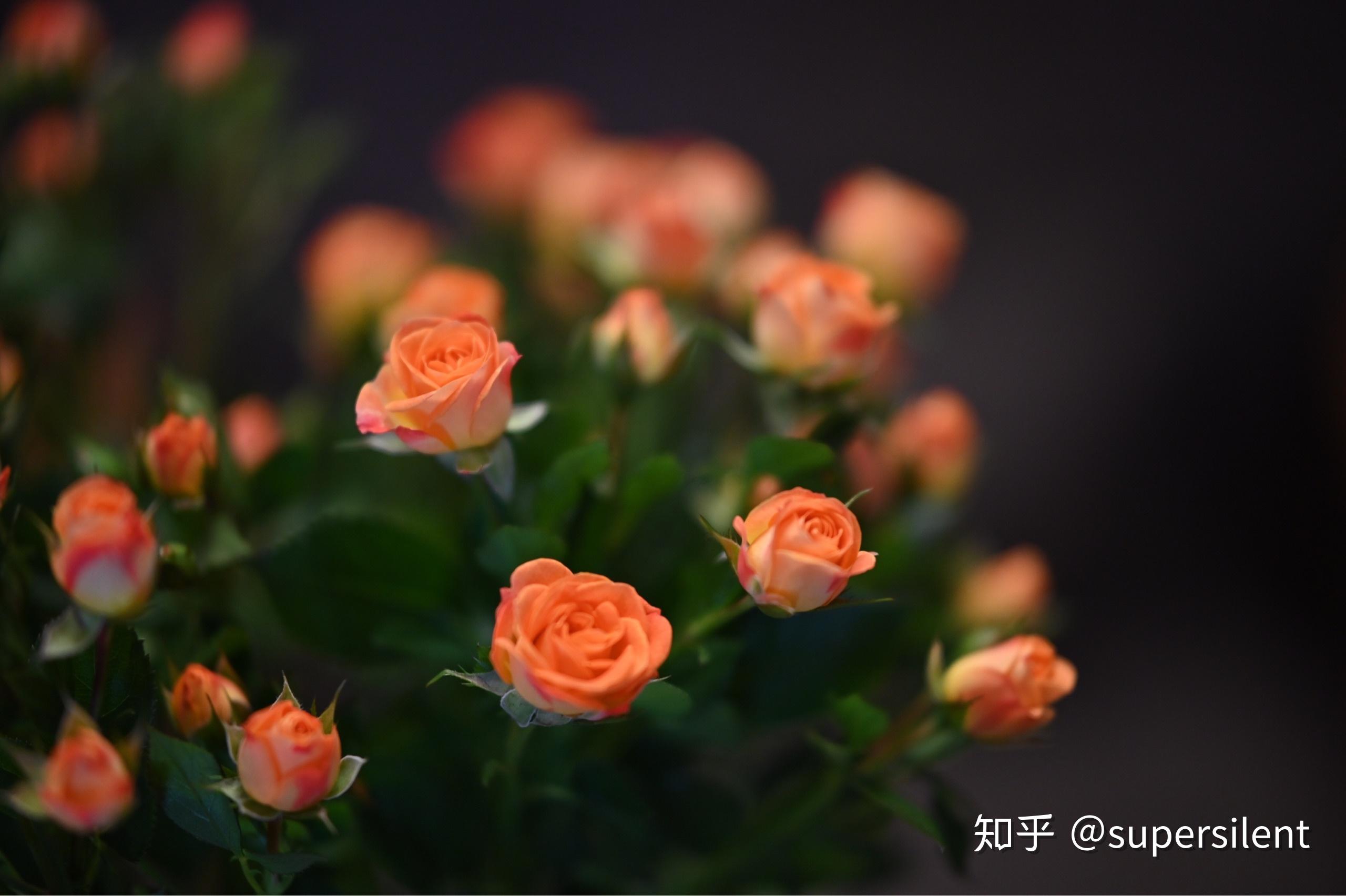鏡頭收購