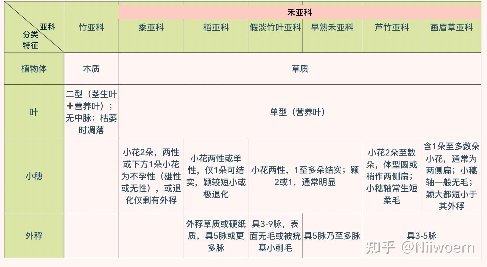 植物分类学—-禾本科稻属 - 知乎