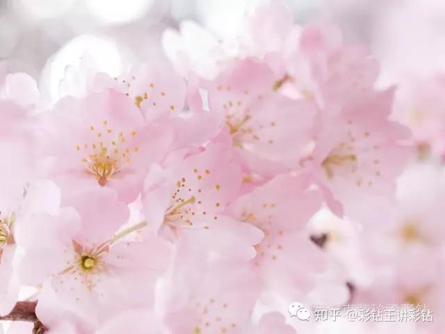 v2-ca598f1727bdc3bfdbc8f707a3111f20_r.jpg