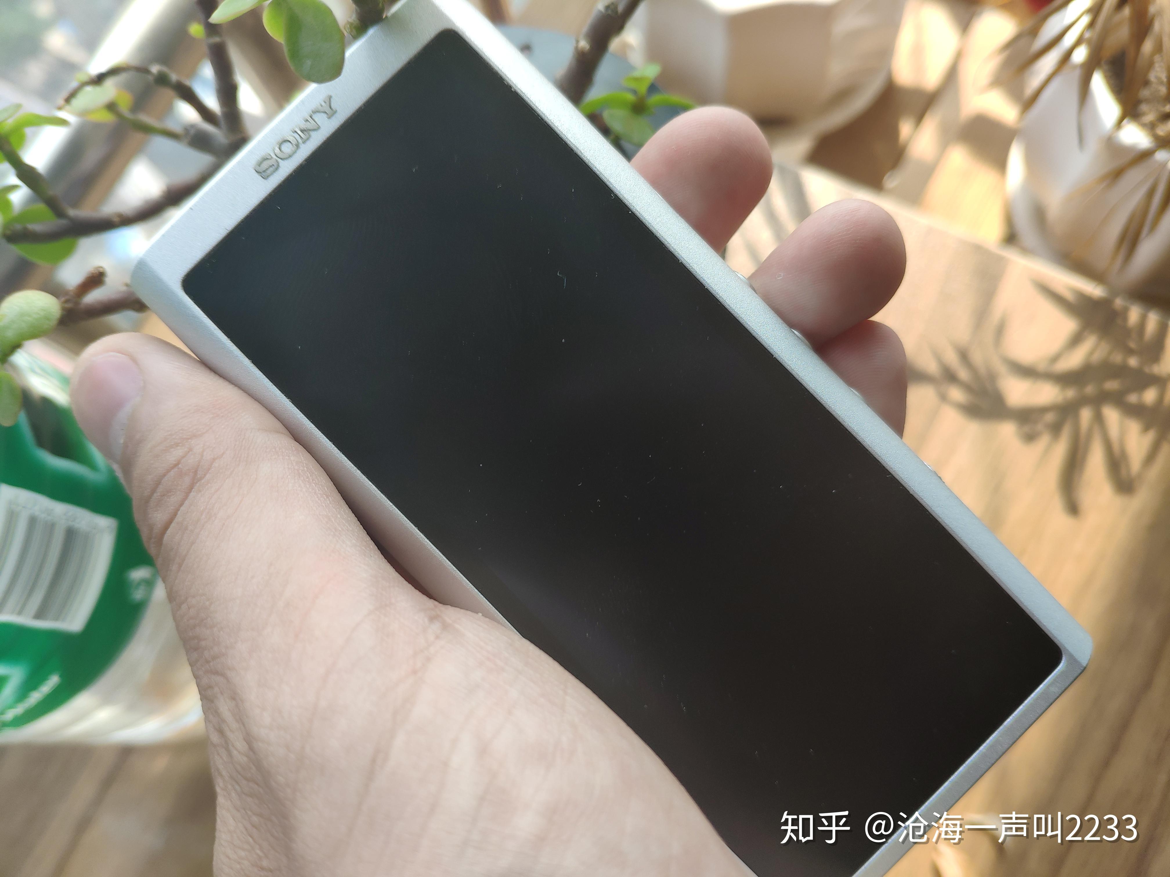 手机直推灰黄鹂想提升效果预算2k是换线还是耳放