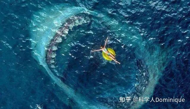 探索未知深海